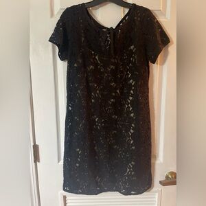 Loft Elegant Black Lace Dress